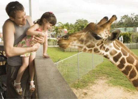Horário de Funcionamento dos Zoológicos: Tudo o que Você Precisa Saber