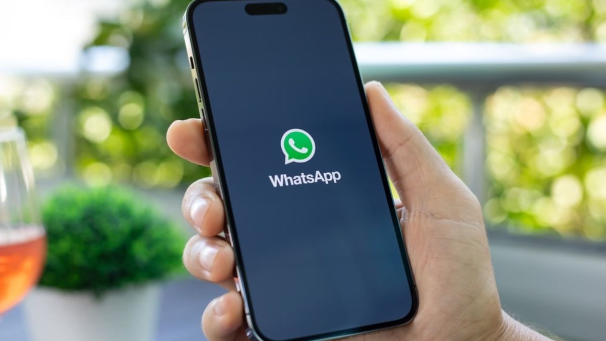 O que é o DDD no WhatsApp? Significado e mais - InfoFinanceira